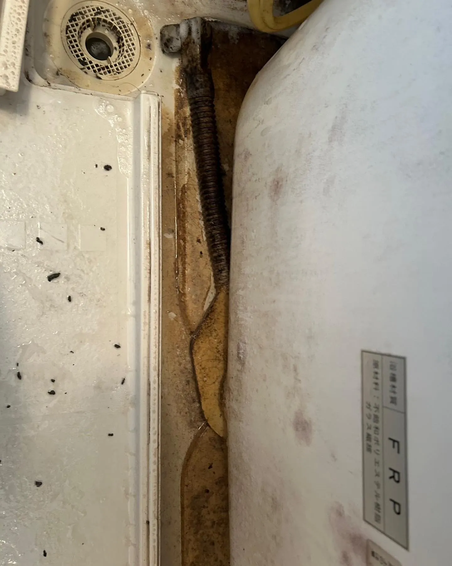 浴室清掃　エプロン内部のビフォーアフターになります。